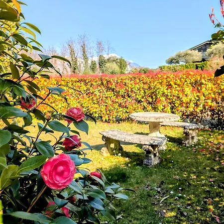 Via Filatoio 9 Lägenhet